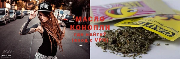дмт Алексин