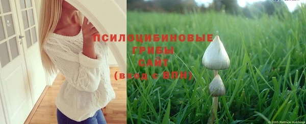 экстази Алексеевка