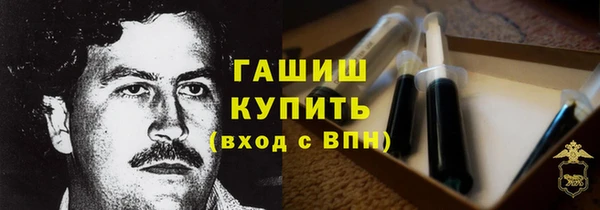 дмт Алексин