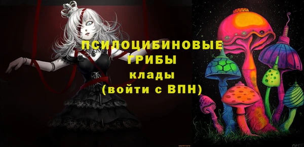 дмт Алексин