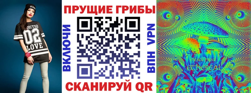 Галлюциногенные грибы Psilocybine cubensis  где можно купить   Боровск 